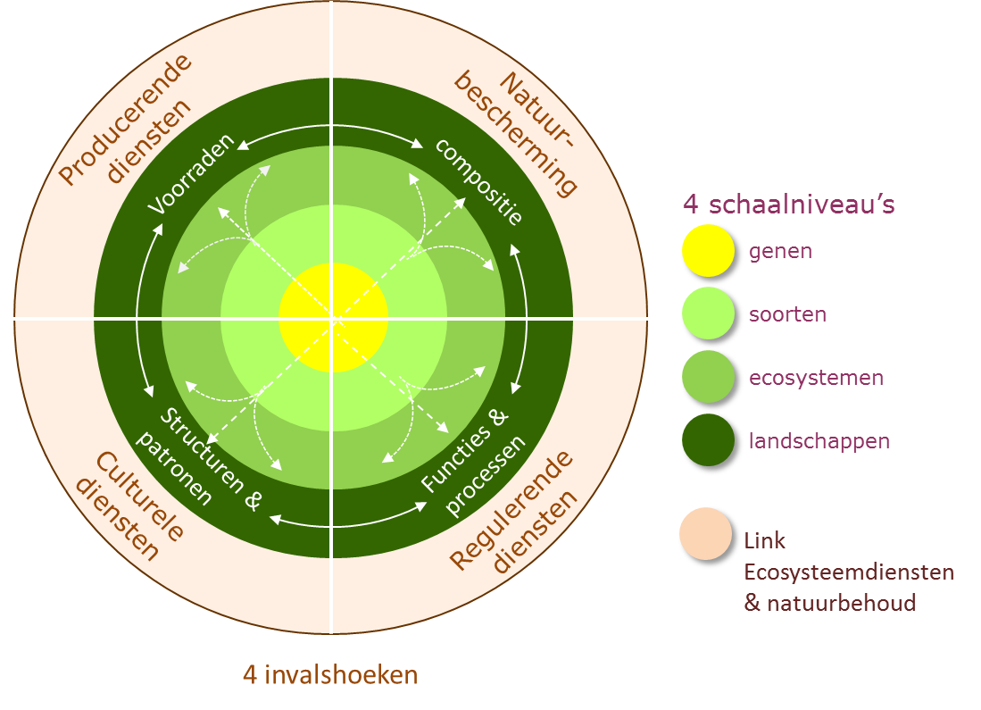 Biodiversiteit: invalshoeken en schaalniveau's