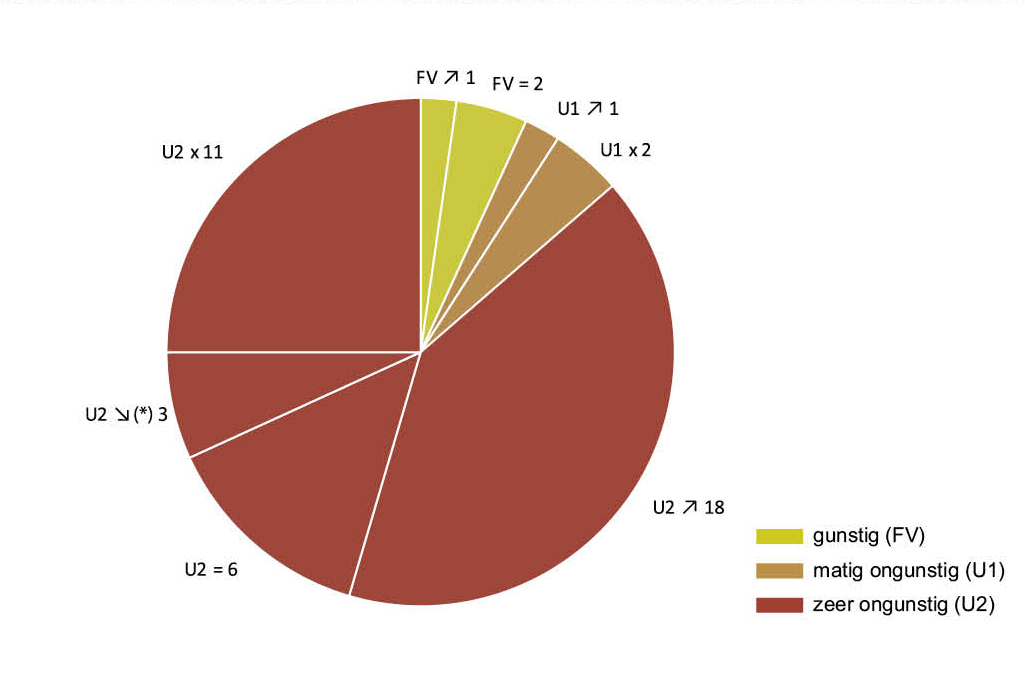 De staat van instandhouding van de habitattypen van de Habitatrichtlijn